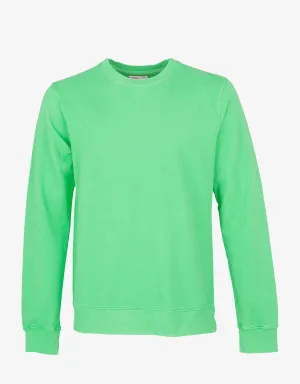 Classic Organic Crew - Spring Green