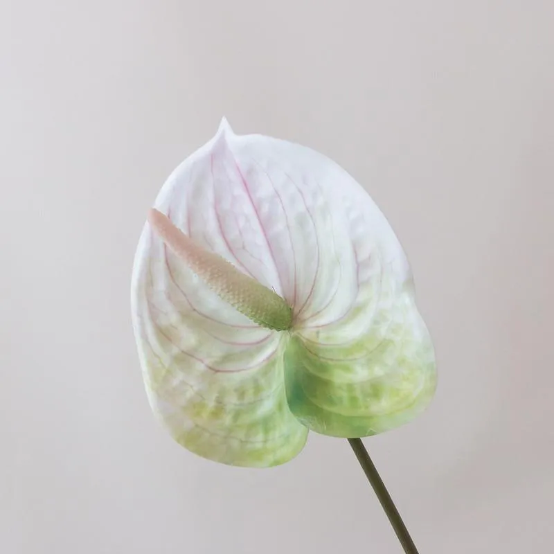 Faux White Anthurium Tropical Wedding Flower