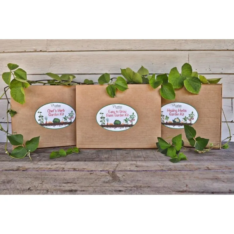 Healing Herbs Garden Kit